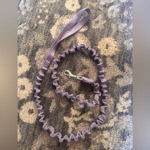 PetSafe Purple Bungee Small Dog Leash